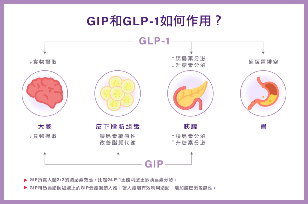 3 - 葛鎂診所