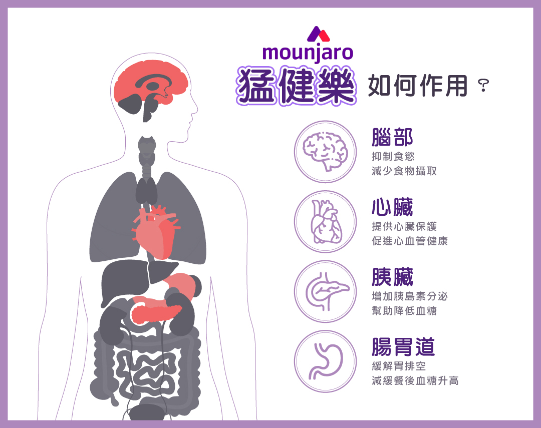 4 - 葛鎂診所